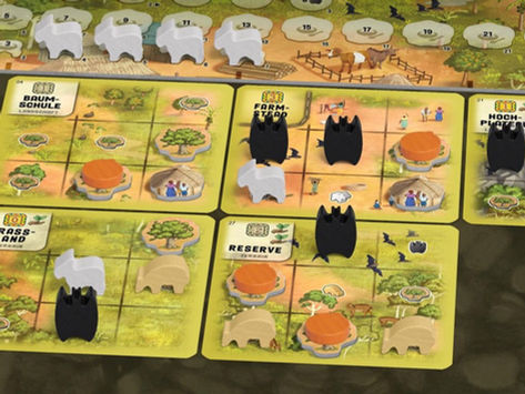 But wait, there's more! (Bare Essen-tials, part 2)